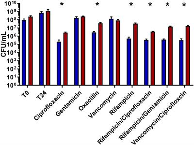 Polymicrobial Interactions Induce Multidrug Tolerance in Staphylococcus aureus Through Energy Depletion